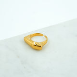 #Evianna Ring