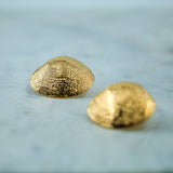 #Coxili Earrings
