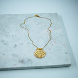 #Shell Necklace