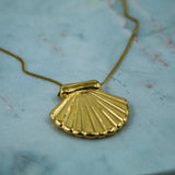 #Shell Necklace