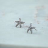 #Halo Earrings Silver