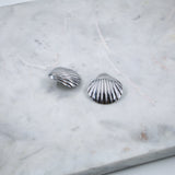 #Shell Silver Earrings
