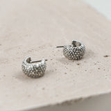 #Toulipa Earrings Silver